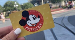 annual pass