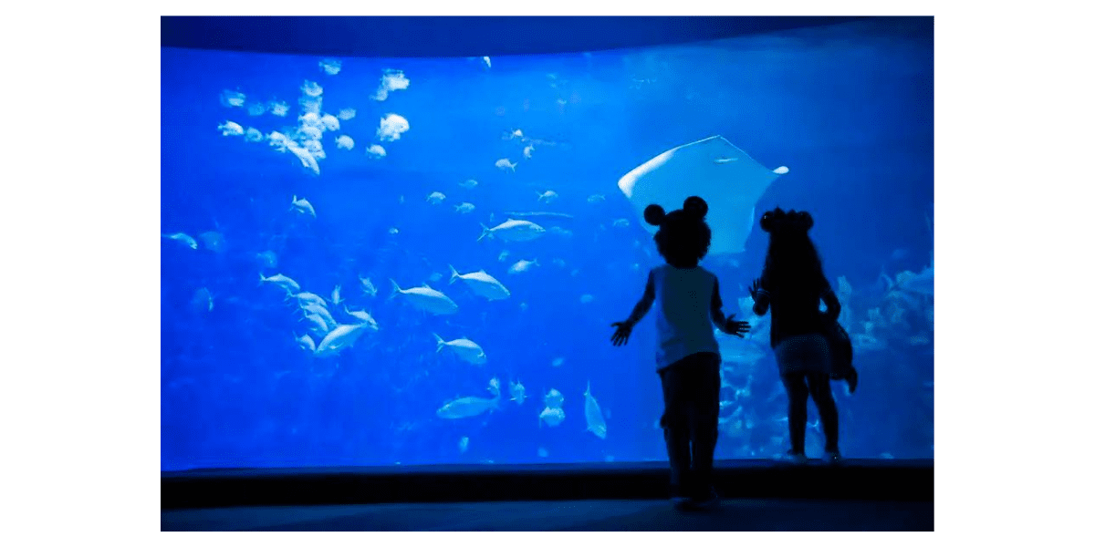 The Seas With Nemo & Friends
