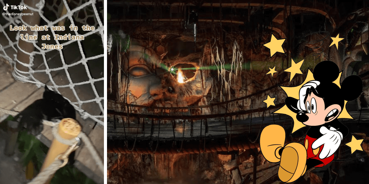 dead bird on indiana jones