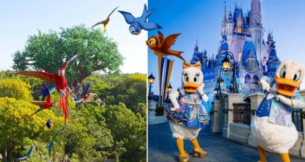 Vibrant Disney World birds soar above lush trees as Daisy and Donald Duck greet guests in front of Cinderella Castle.