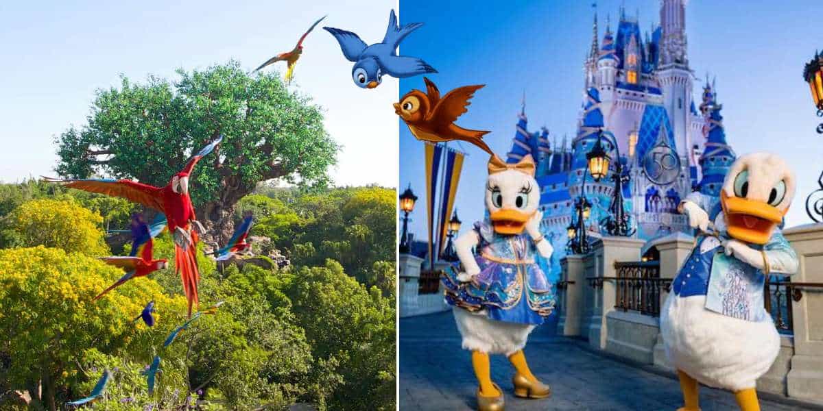 Vibrant Disney World birds soar above lush trees as Daisy and Donald Duck greet guests in front of Cinderella Castle.