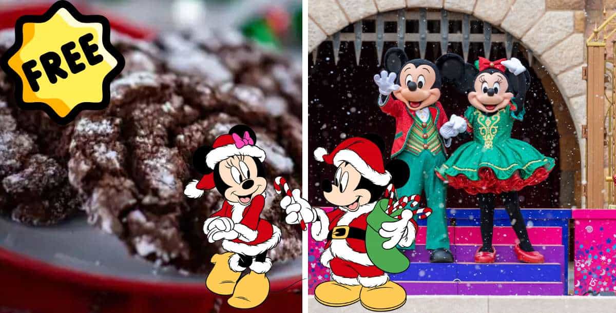 A plate of chocolate crinkle cookies set in front of Mickey and Minnie Mouse dressed in festive Christmas outfits, with a wintry, snow-dusted stage evoking the enchanting holiday atmosphere of a Disney Parks celebration.
