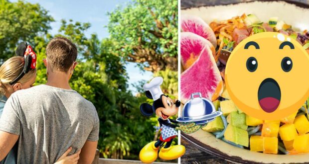 A couple enjoying Disney World, their Disney avatar smiling with delicious park treats, alongside a surprised emoji reacting to a vibrant new salad from the exciting menu.