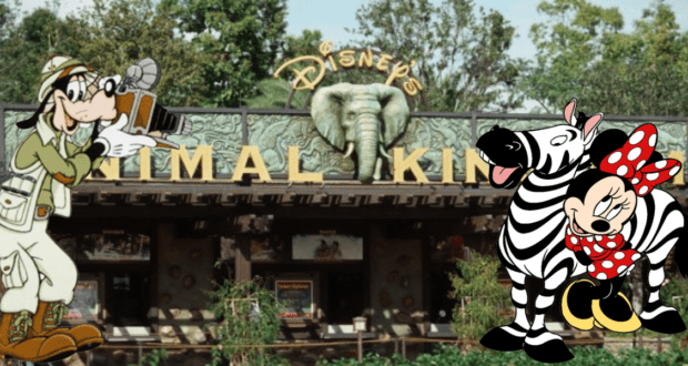 Goofy snaps photos as Minnie Mouse, dressed in a playful zebra outfit, greets guests at the entrance of Disney’s Animal Kingdom, with the adventurous Kali River Rapids nearby.