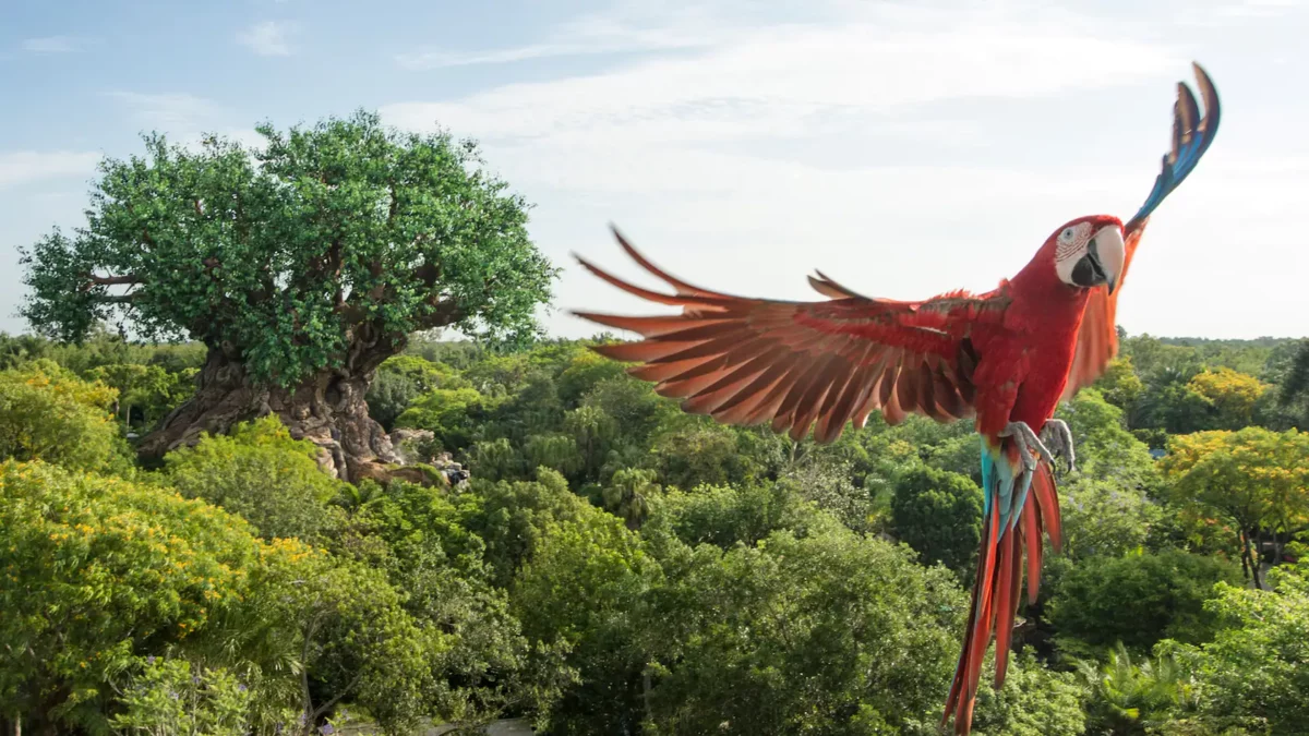 Winged Encounters – The Kingdom Takes Flight