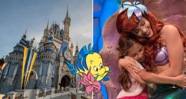 Cinderella Castle stands as a backdrop while Flounder from The Little Mermaid appears nearby, and Ariel gives a warm hug to a young guest outside Ariel's Grotto at Disney Park.
