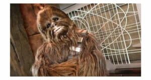 Chewbacca character meet and greet at Star Wars: Launch Bay
