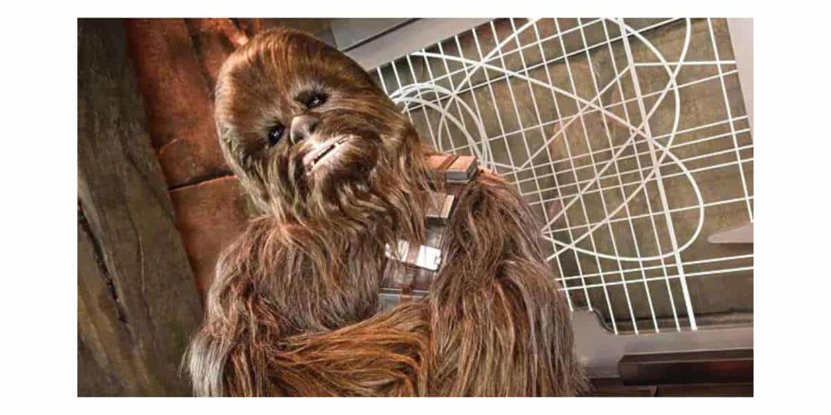 Chewbacca character meet and greet at Star Wars: Launch Bay