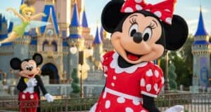 Disney World Character Meet and Greets