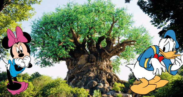 Minnie Mouse and Donald Duck greet guests near the iconic Tree of Life at Disney’s Animal Kingdom, just steps from the thrilling Kali River Rapids adventure.
