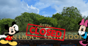 Mickey and Minnie stand with dejected expressions in front of the Disney’s Animal Kingdom entrance, overshadowed by a bold red "CLOSED" stamp across the sign, signaling to fans that Animal Kingdom has shut its gates.