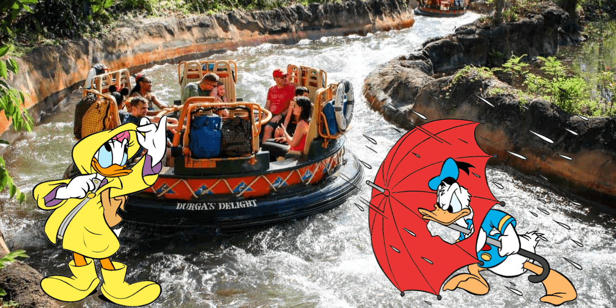 Daisy Duck in a bright yellow raincoat and Donald Duck with a red umbrella greet excited guests onboard Kali River Rapids, as the beloved water ride at Disney’s Animal Kingdom splashes back to life.