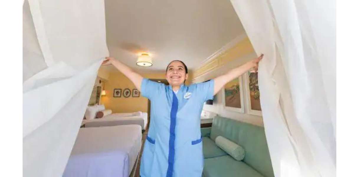Disney World Housekeeping