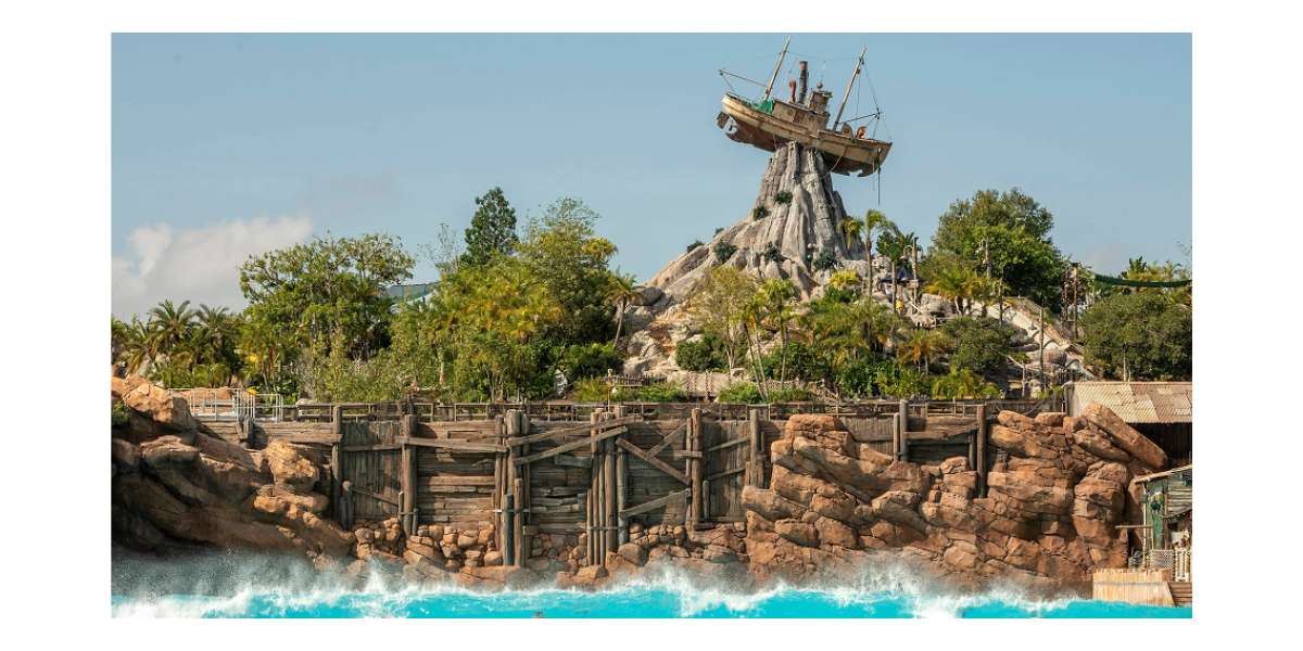 Disney's Typhoon Lagoon Water Park
