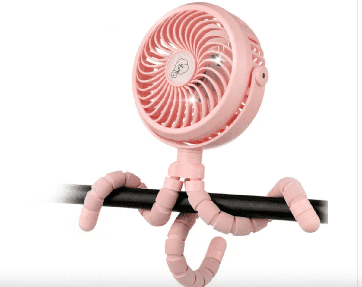 Personal Fan for the Parks 