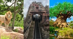 Spot Simba lounging atop sun-dappled rocks, catch a glimpse of Expedition Everest’s twisting coaster track, and marvel at the majestic Tree of Life with its lush green canopy—these legendary landmarks define Disney’s Animal Kingdom. Don’t miss these unforgettable attractions as you make the most of your visit!.