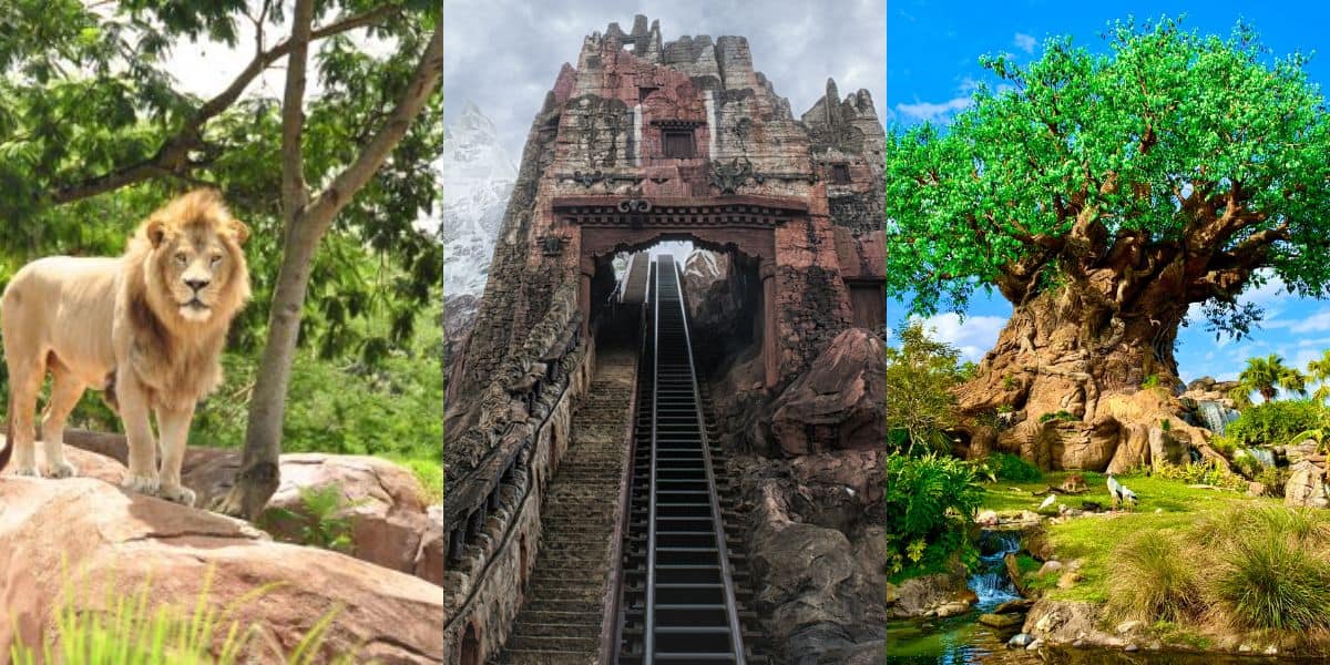 Spot Simba lounging atop sun-dappled rocks, catch a glimpse of Expedition Everest’s twisting coaster track, and marvel at the majestic Tree of Life with its lush green canopy—these legendary landmarks define Disney’s Animal Kingdom. Don’t miss these unforgettable attractions as you make the most of your visit!.