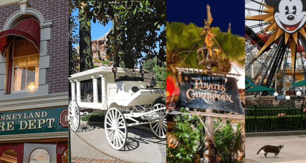 Disney Rumors Feature Image