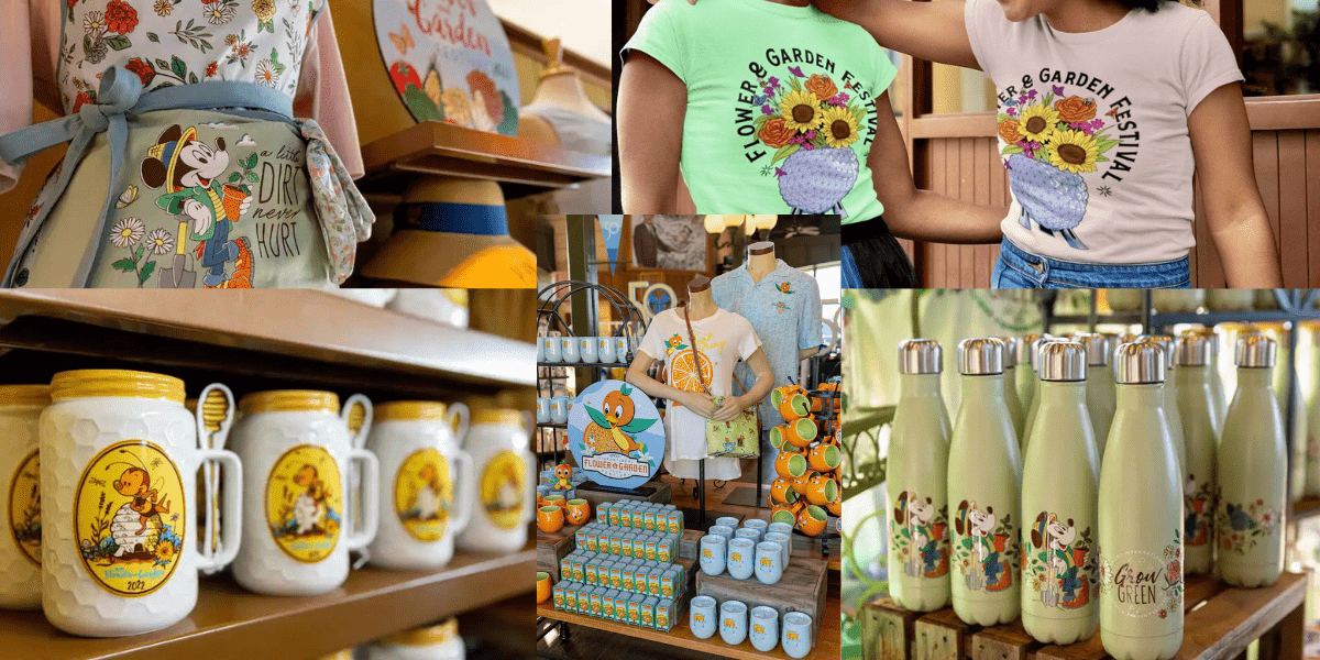 Festival Merchandise Collage
