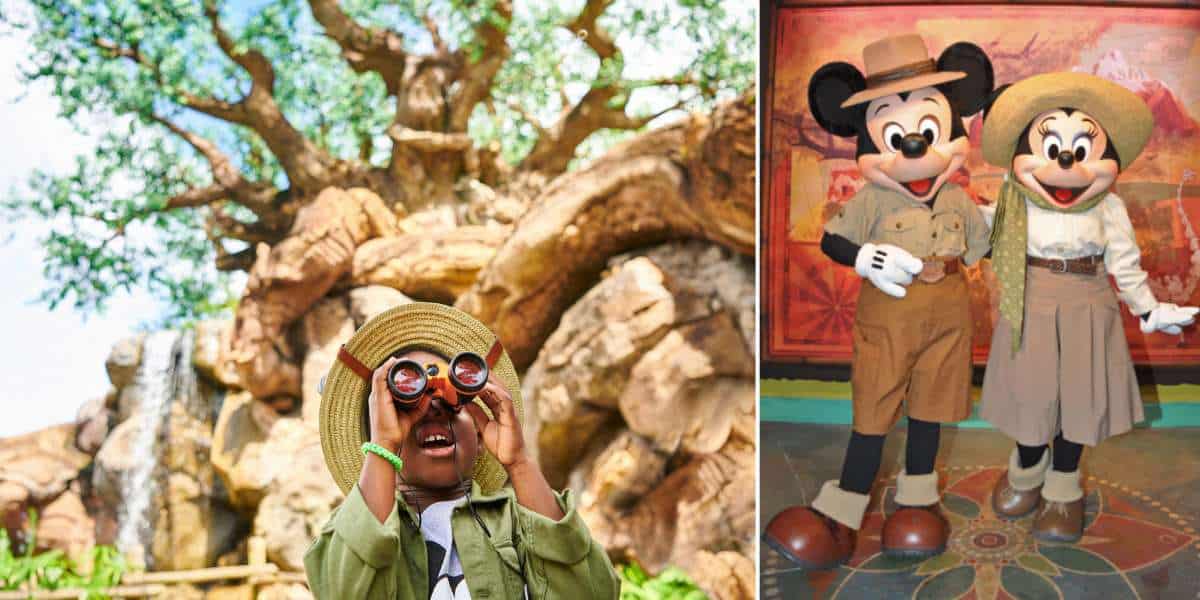 Disney's Animal Kingdom