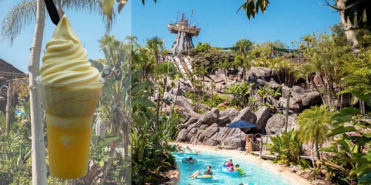 DOLE Whip Disney soft-serve ice cream in a cup, enjoyed by guests floating along the lazy river at a tropical Disney water park.