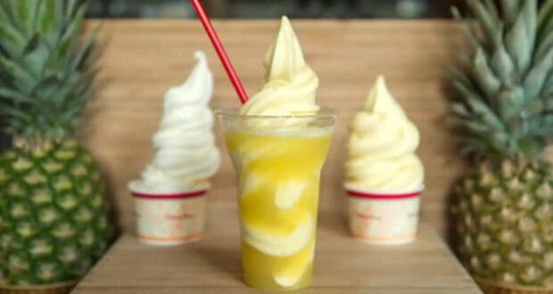 Disney World DOLE Whips