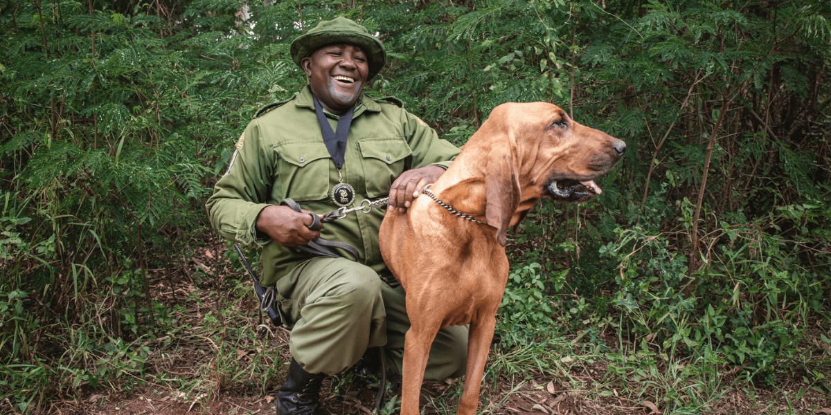 Disney-Conservation-Hero