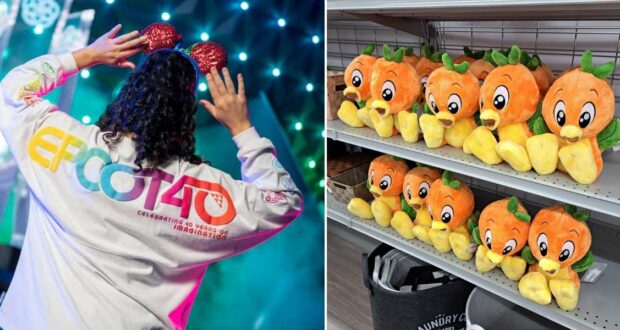 Epcot fan sporting a 40th anniversary shirt and classic mouse ears browses shelves packed with adorable Orange Bird plushies, capturing the magic and collectible fun of Disney Parks merchandise displays.