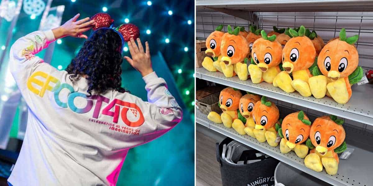 Epcot fan sporting a 40th anniversary shirt and classic mouse ears browses shelves packed with adorable Orange Bird plushies, capturing the magic and collectible fun of Disney Parks merchandise displays.