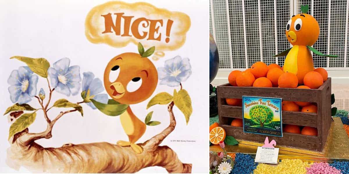 Orange Bird