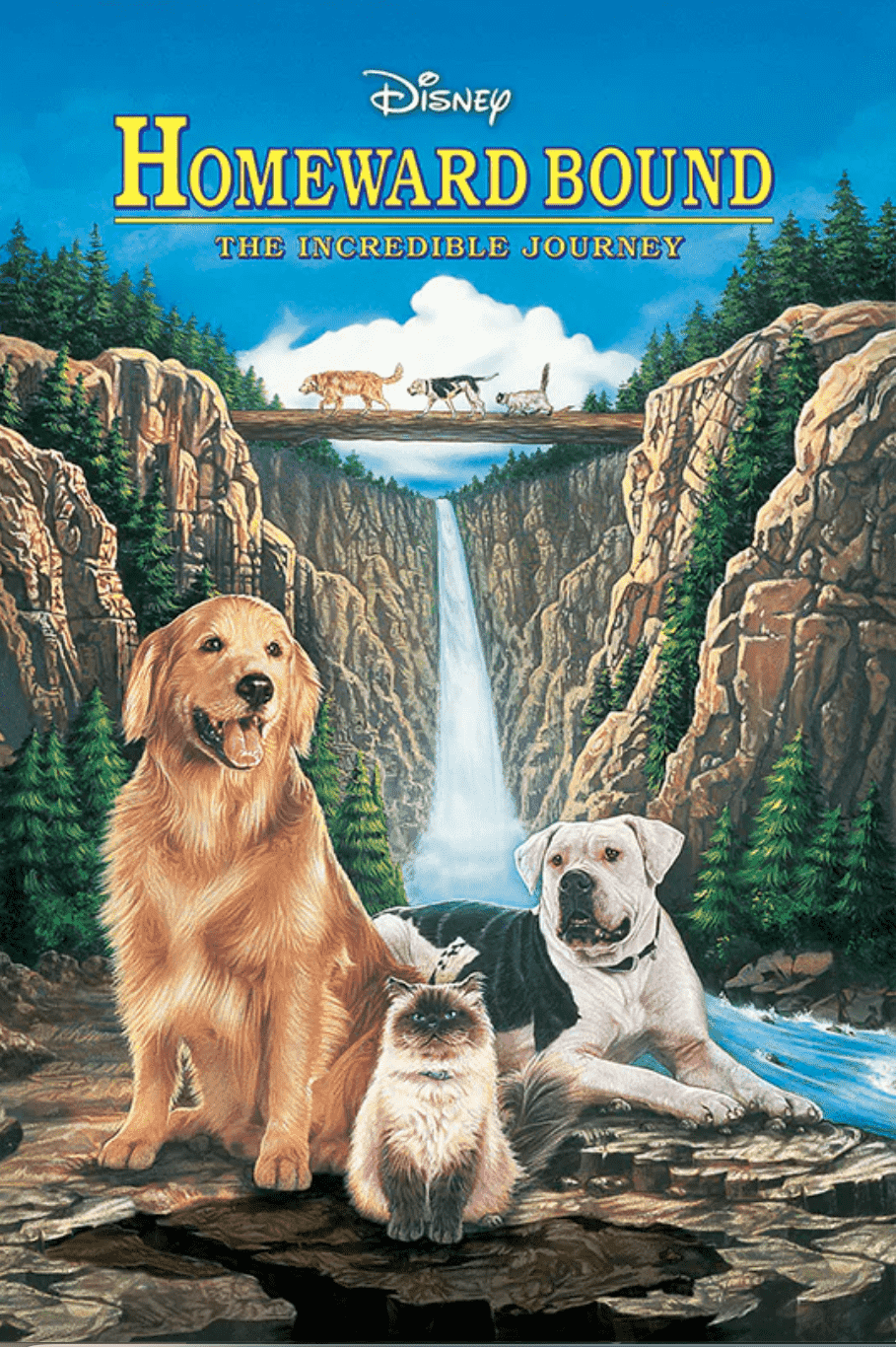 Homeward Bound the Incredible Journey 