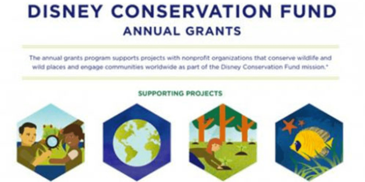 Annual Grant Graphic Displays