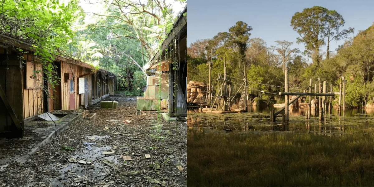 Side by Bide Display of Abandoned Discovery Island and River Country