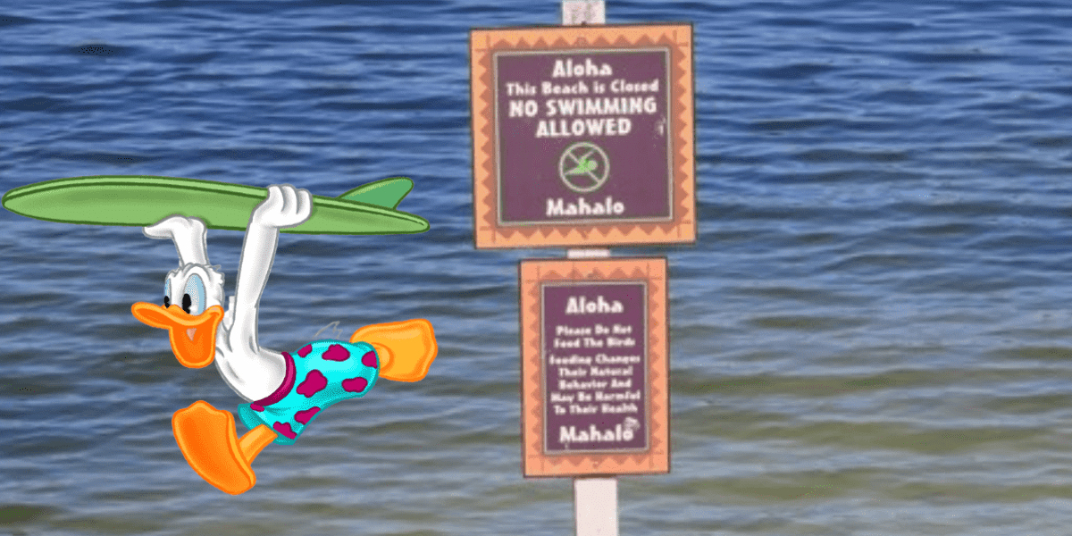 Now Swimming Sign at Polynesian Shoreline and Donald Duck Clipart