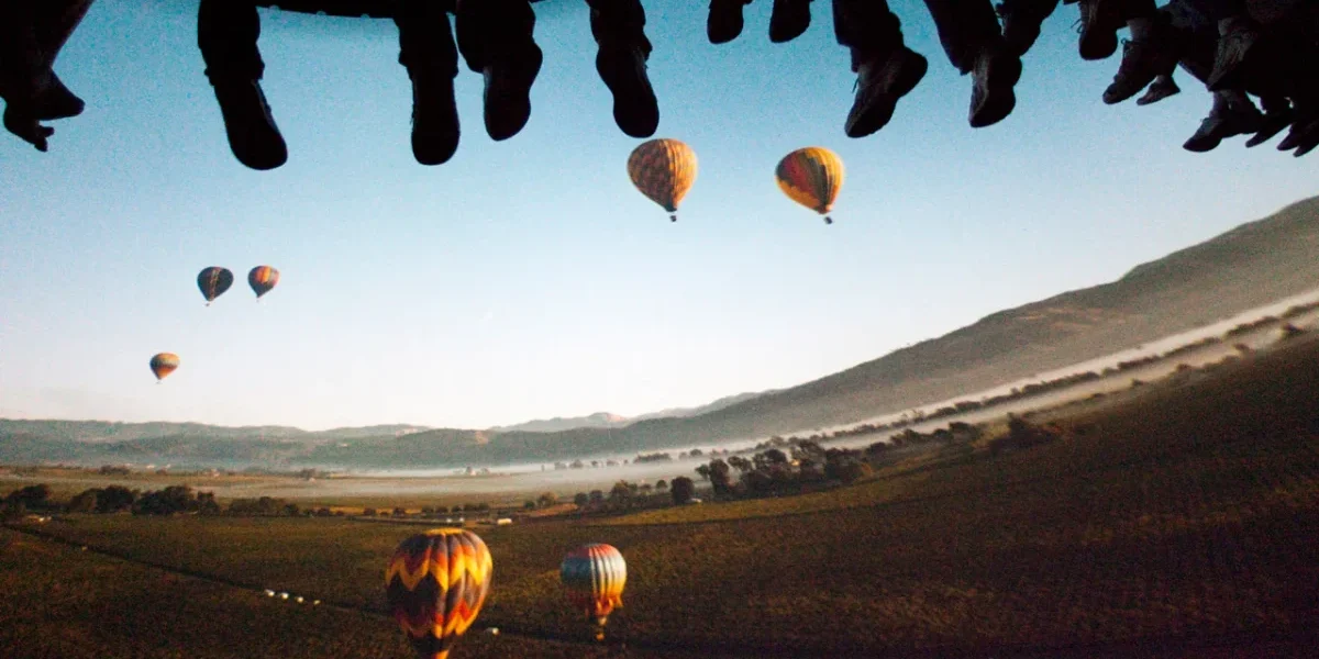 Soarin' Over California