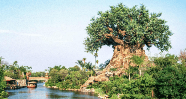 Tree of Life at Animal Kingdom