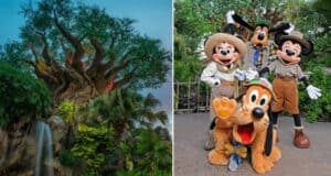 Disney's Animal Kingdom