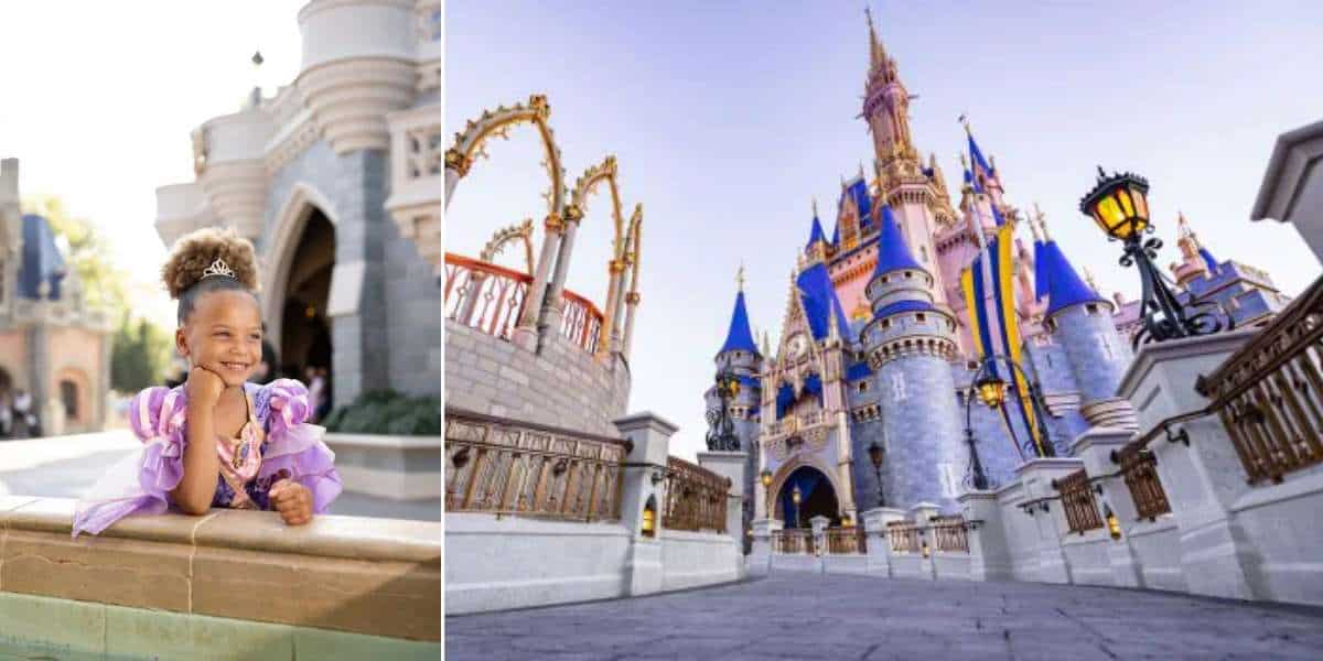 Magic Kingdom Capture Your Moment - Feature