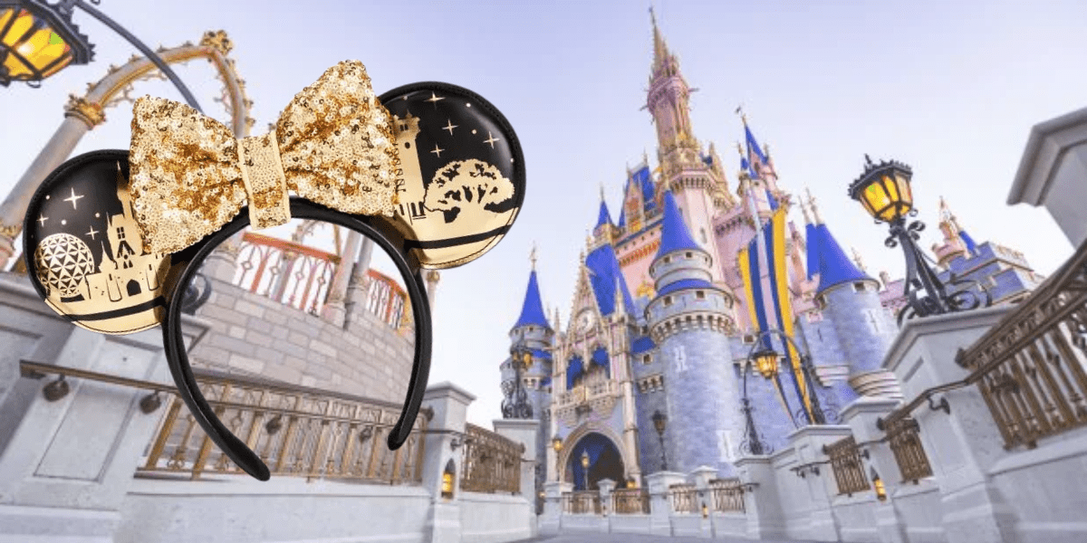 Removable minnie ear bows