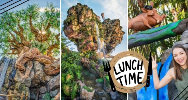 Collage featuring highlights from Disney’s Animal Kingdom: the iconic Tree of Life, Pandora’s breathtaking floating mountains, a guest posing by Pumbaa from The Lion King, and a whimsical “Lunch Time” sign—all capturing must-see attractions to experience before midday.