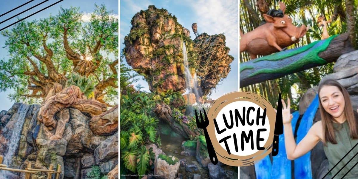 Collage featuring highlights from Disney’s Animal Kingdom: the iconic Tree of Life, Pandora’s breathtaking floating mountains, a guest posing by Pumbaa from The Lion King, and a whimsical “Lunch Time” sign—all capturing must-see attractions to experience before midday.