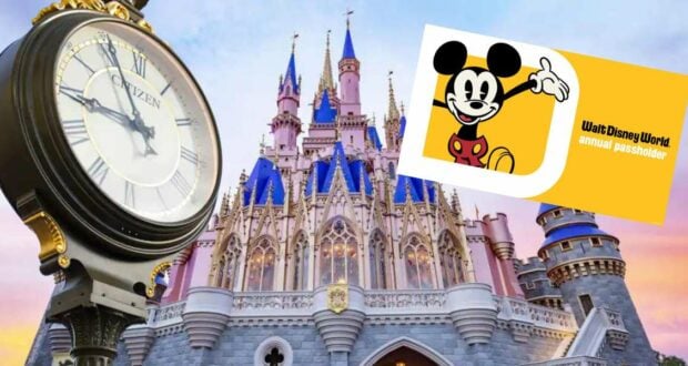 Annual PAss Time Sales -Feature