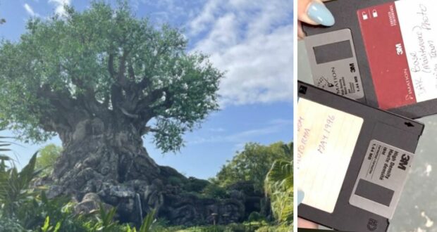 animal kingdom tree life floppy disks