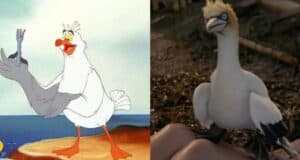 Scuttle