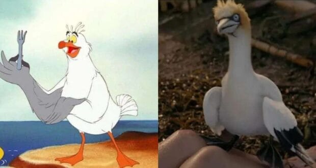 Scuttle