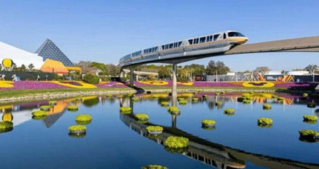 Monorail and Flowers