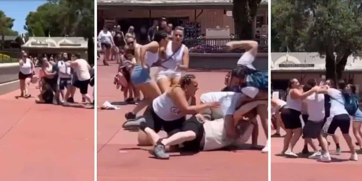 Guest Fight