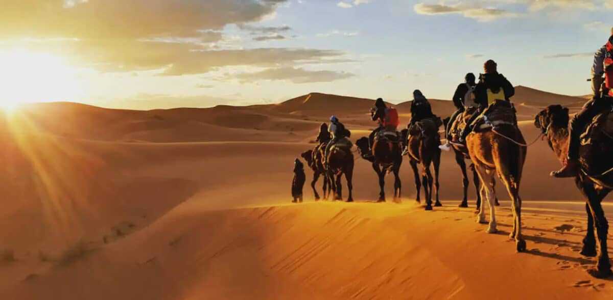 morocco adventures by disney camel sand desert