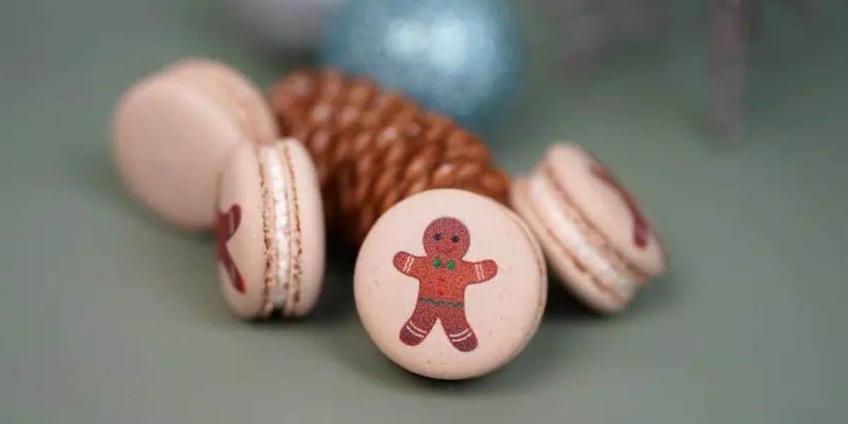 Disney Holiday Macaroon