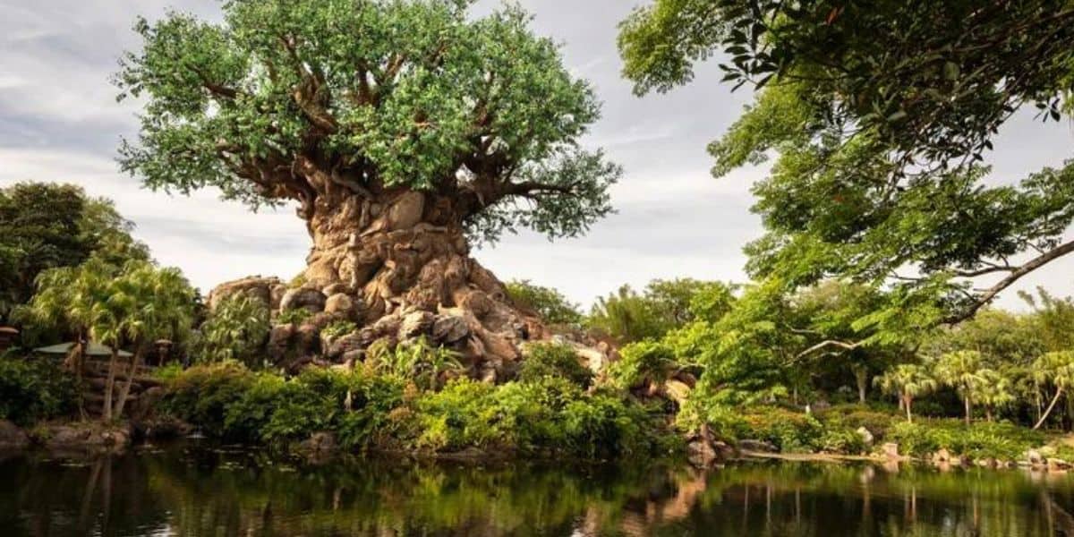 Disney's Animal Kingdom